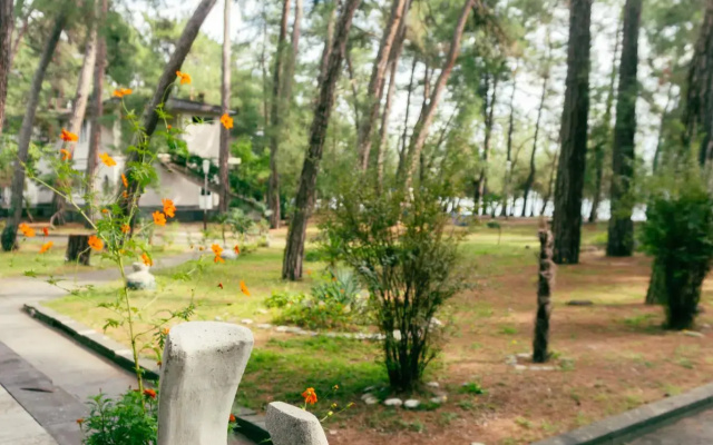 Госдача ЛДЗАА