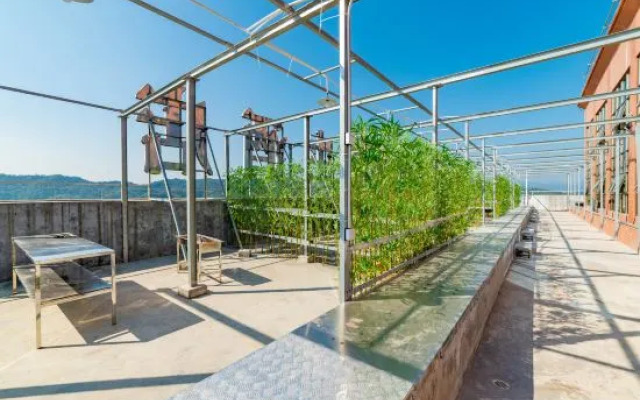 Shuilinglong Yangsheng Hotel