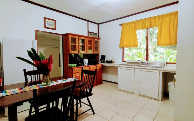 The Maya Mountain Lodge