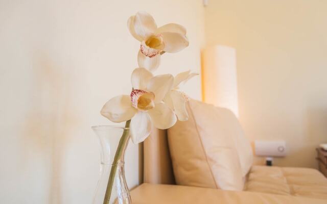 'white House' Apartment- Alfama