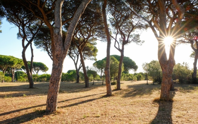 La Canova