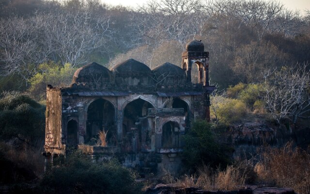 Sawai Shivir Ranthambore by TUTC