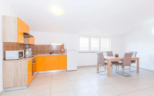 Apartment Janko N1