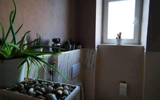 Falcon apartment