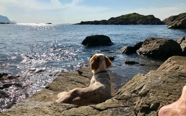 Nyksund Apartments Marihaugen