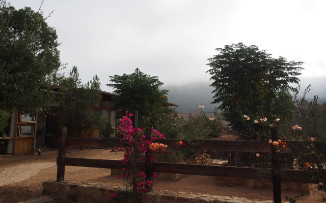 Casa Mayoral B&B Pet friendly