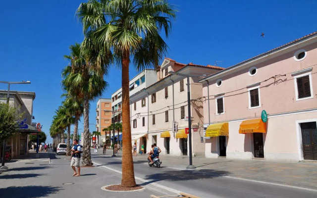 Palmarin