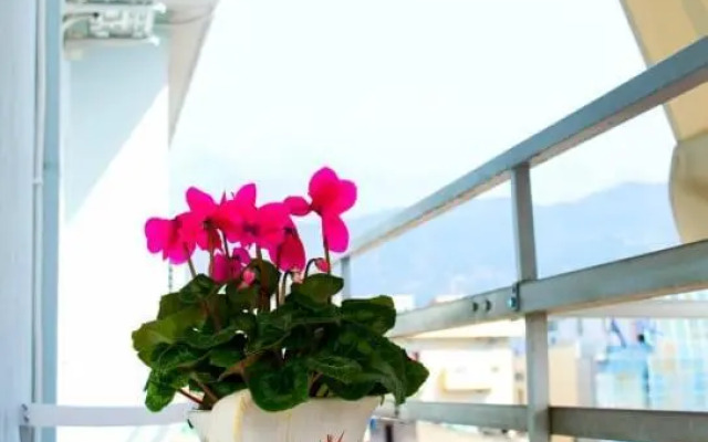 Sunny Central Luxury Apartment