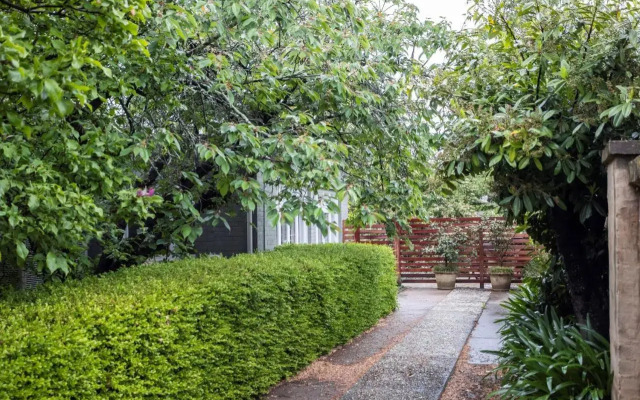 Silk Tree Studio - Steps to Cook Park - Central