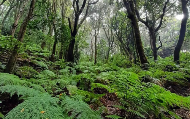 Oasis Penthouse in Santa Cruz by Edén Rentals