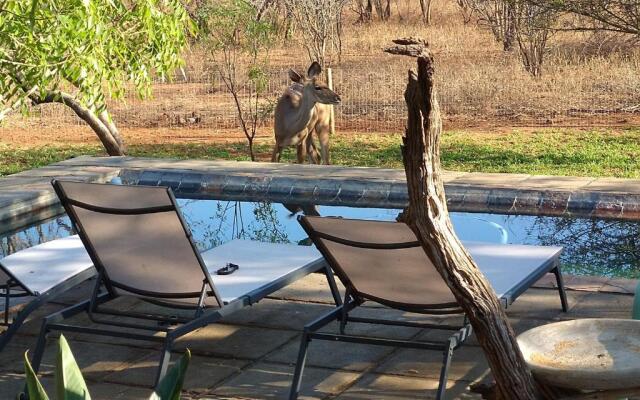 Call of the Wild Lodge