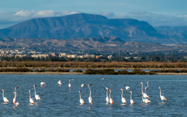 Apartment in Santa Pola