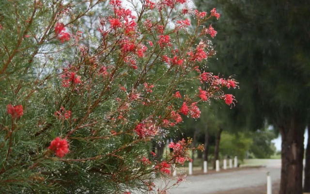 The Heights Bed & Breakfast