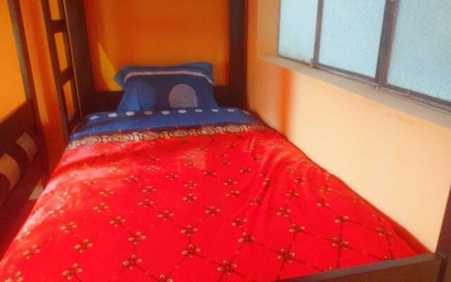 Hidden Garden - Hostel