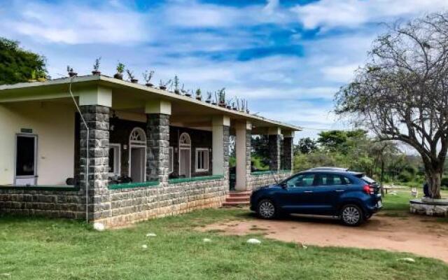 Kings Wild Retreat