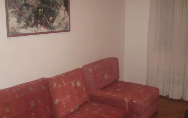 Apartment Zoran Skadarlija