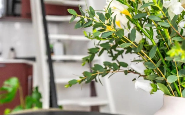 Luxury Apartement, Center of Paris