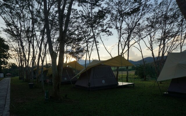 Singha Park Chiang Rai Camping