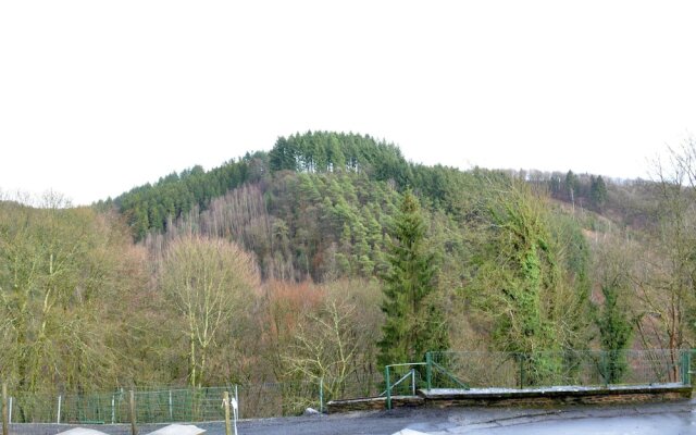 Small Typical Ardennes House, Comfortable, in Quiet Hamlet