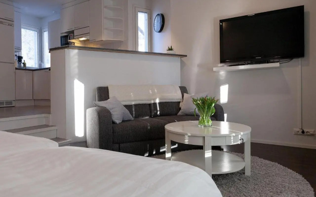Apartment Lumikontupa