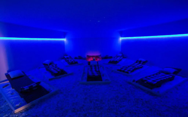 Szatmar Beregi Elmenyliget