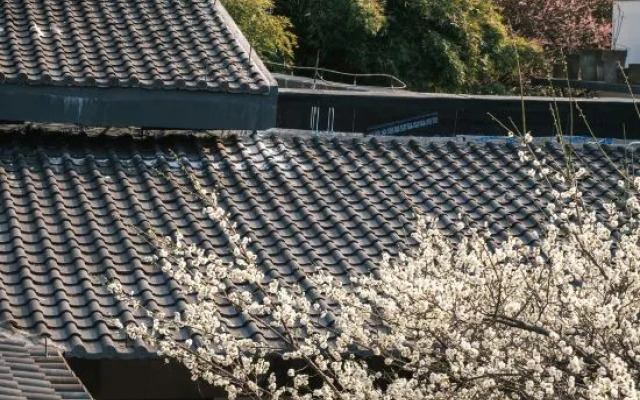 Hangzhou Shuimo Zhuang Private Home Forest Hotel (Chaoshan Scenic Area)