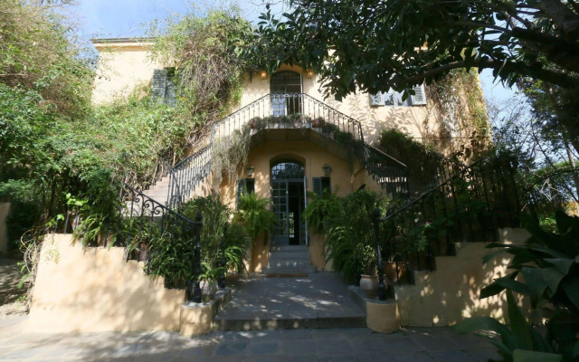 Mimi Calpe