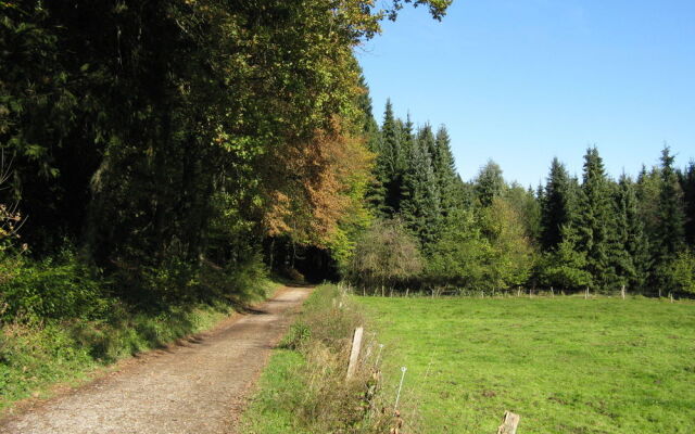Hotel Waldberg