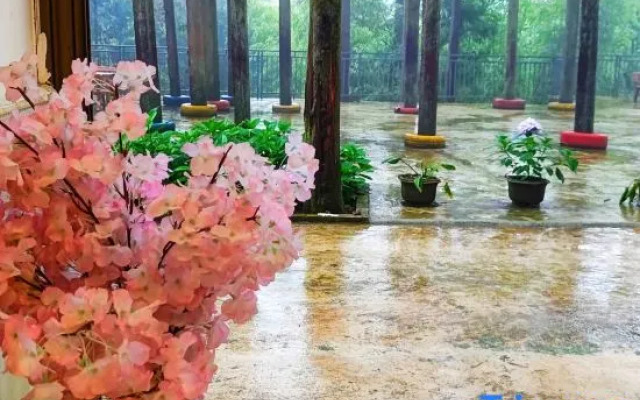 Shizhulinyoujubishushanzhuang