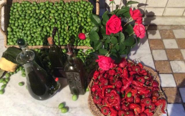 Campo dei Lupi Agriturismo