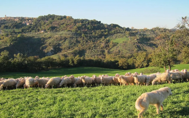 Agriturismo Podere Paugnano