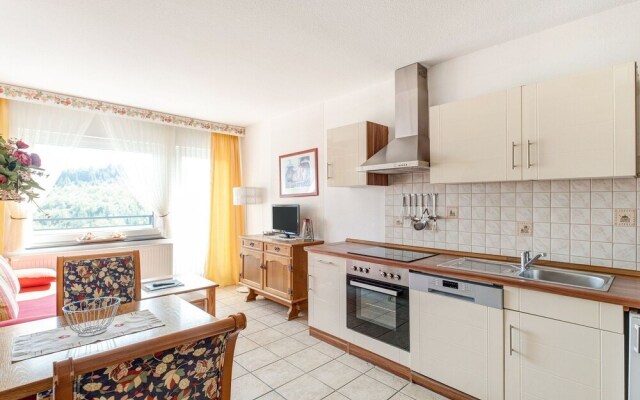 Apartment in Wasserfall with Sauna, Garden, Terrace,Pool,Bbq