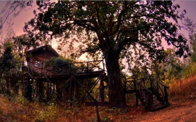 Tree House Hideway Bandhavgarh