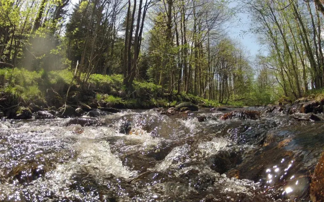 Doppelhaushalfte in Hasselfelde