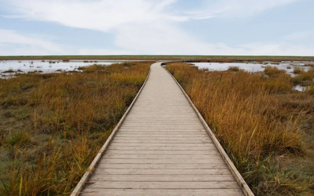 Deichhaus K Stenwind Butjadingen
