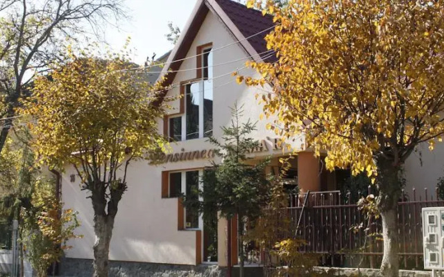 Pensiunea Domar - Alina