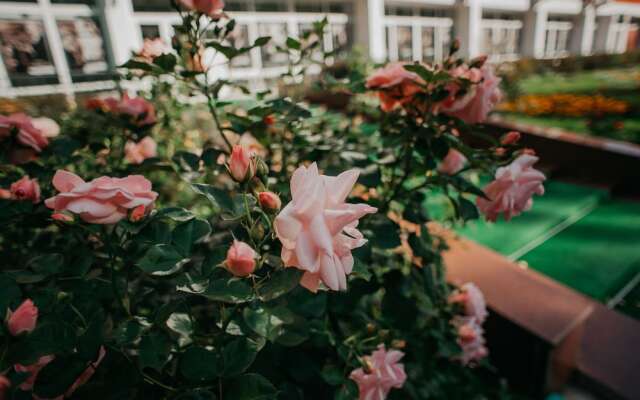 Пансионат «Госфильмофонд»