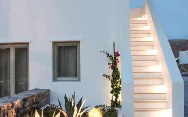 Mykonos Cactus