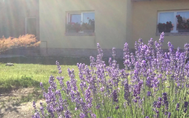 Rooms for Rent near Budapest