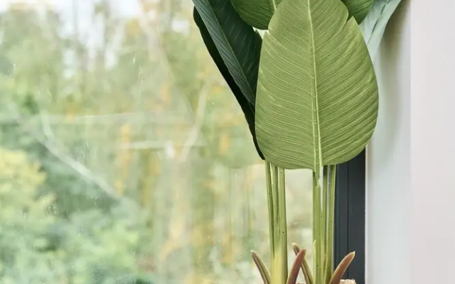 Studio Wrocław Fabryczna by Renters