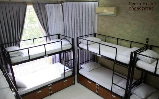 Gecko Hostel