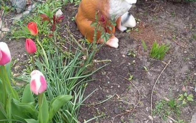 Apartments zum Brauergang