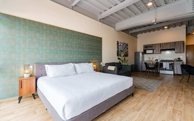 Roma Norte Apartments by VH