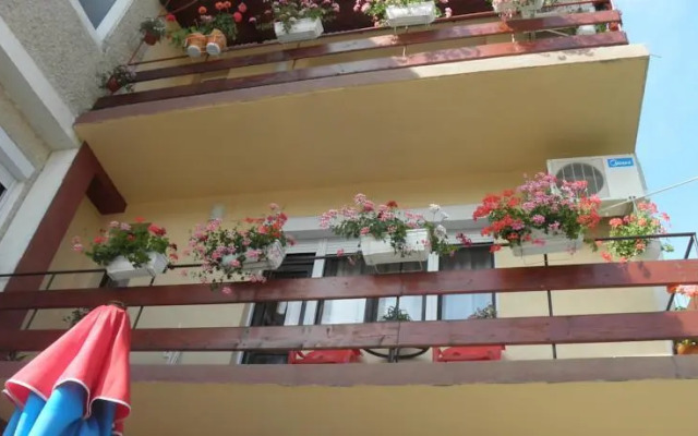 Family Hotel Vityaz House