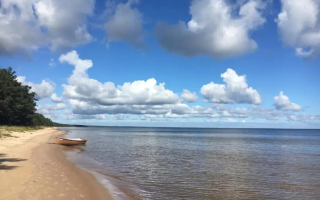 Atputas Vieta Braltirumi