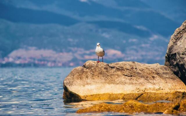 Park Lakeside Ohrid