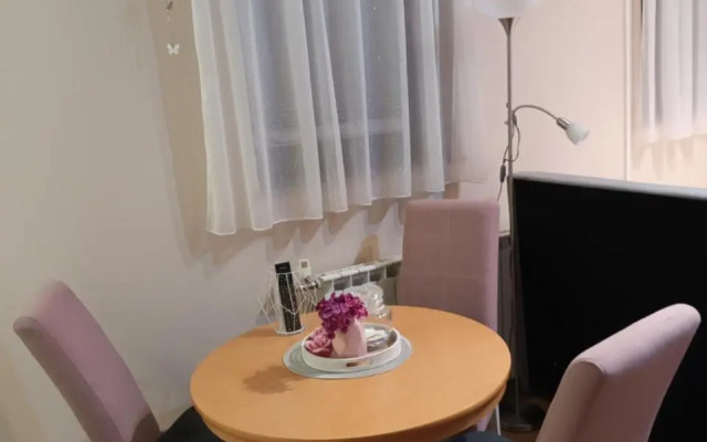Studio apartman Salopek