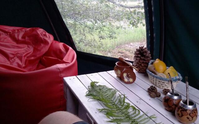 Dome Bungalow Niedras Jurmala