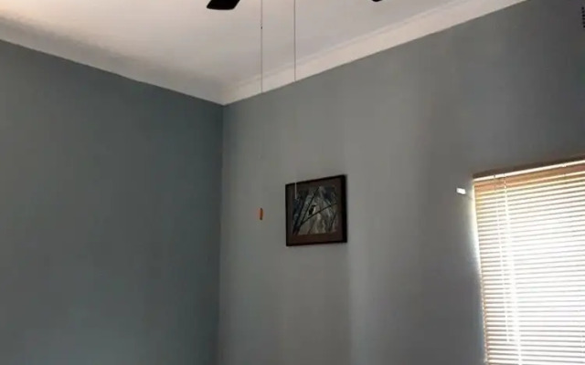 Cardboard Box Backpacker