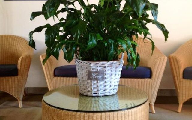 Hotel Ivana